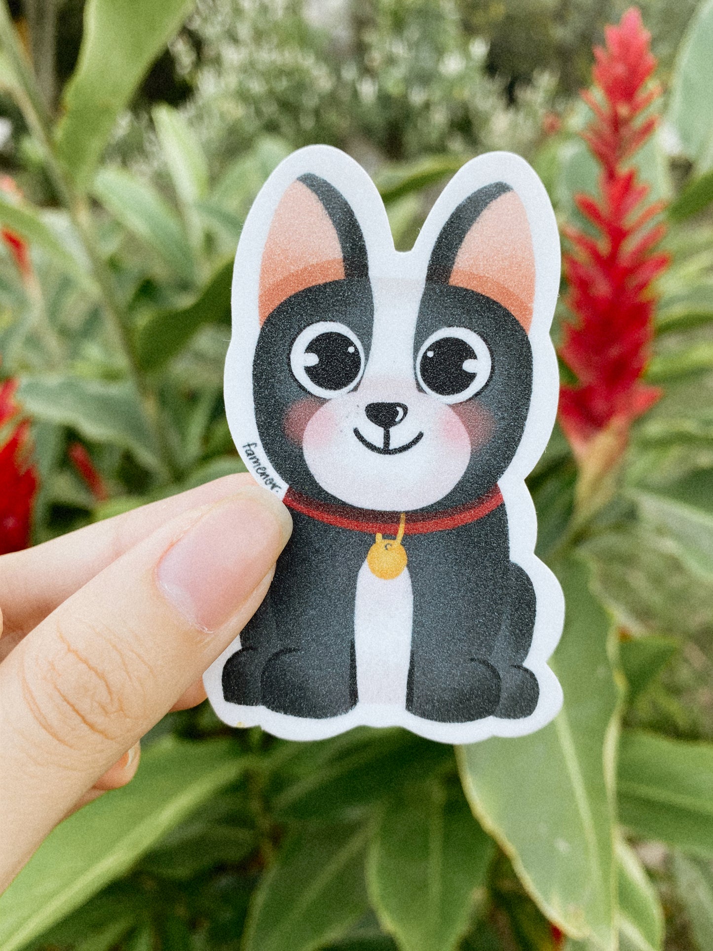 Perrito Boston Terrier Sticker